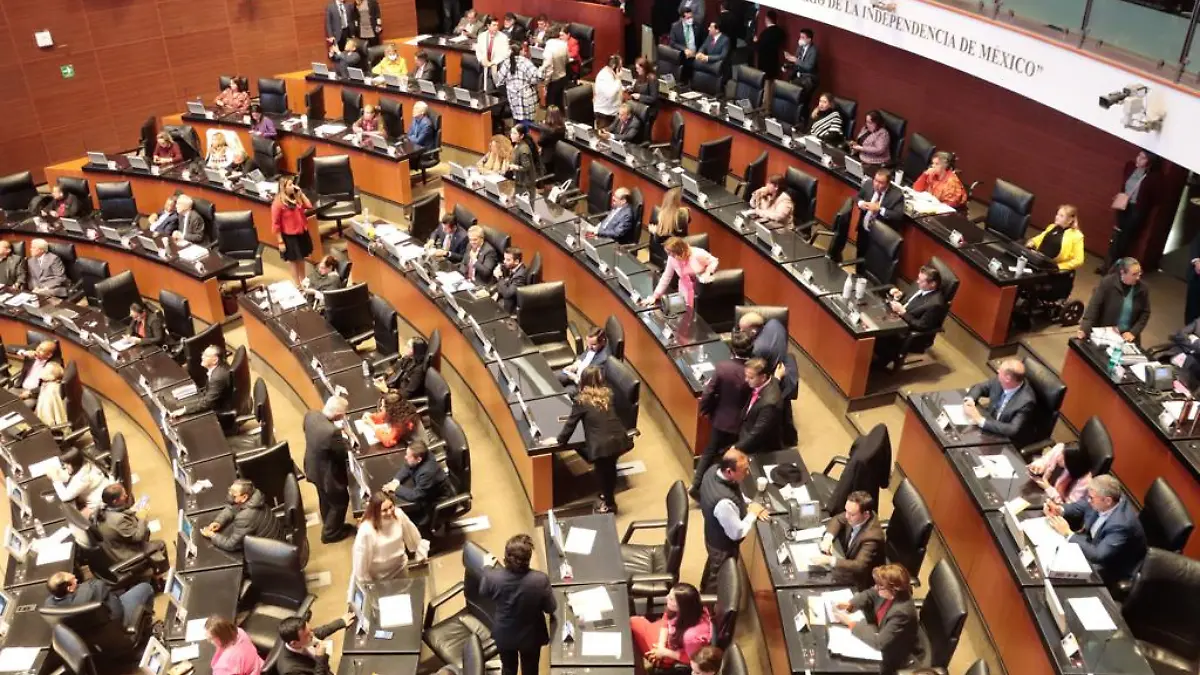 Pleno del Senado 